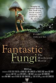ดูหนังออนไลน์ฟรี Fantastic Fungi (2019) เชื้อรามหัศจรรย์ (ซาวแทร็ก)